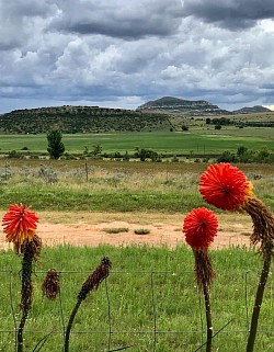 Potluck View