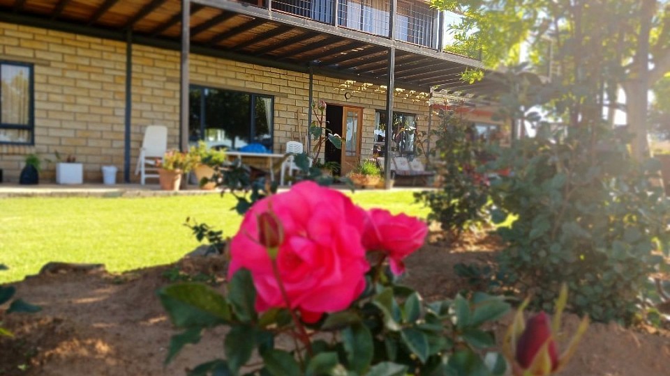 Potluck Guesthouse