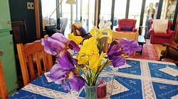 View from Dining Room